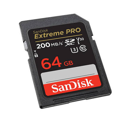 SanDisk Full-Size SD Card