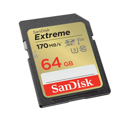 SanDisk Full-Size SD Card