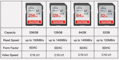 SanDisk Full-Size SD Card