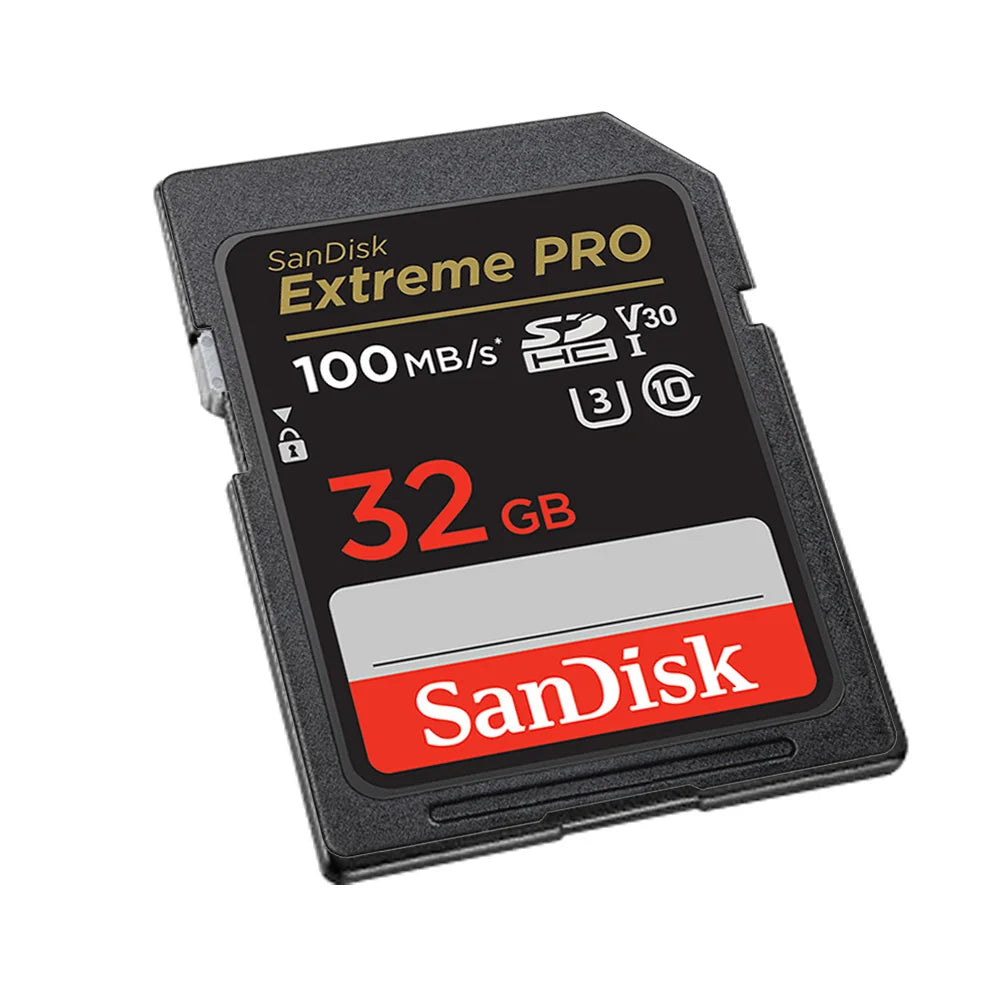 SanDisk Full-Size SD Card