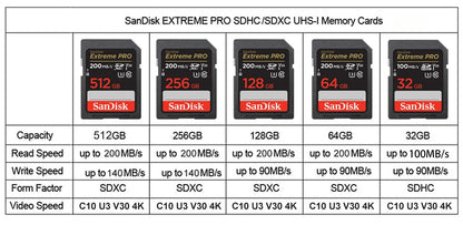 SanDisk Full-Size SD Card